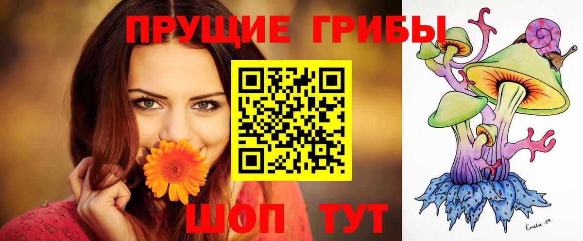 Галлюциногенные грибы Psilocybe  Галлюциногенные грибы прущие грибы  Вход с VPN  даркнет сайт  Мценск 